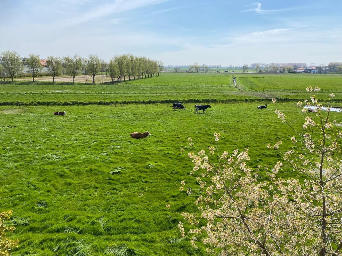 Villa La Dune - Ontbijt & Parking Inclusief Middelkerke Dış mekan fotoğraf